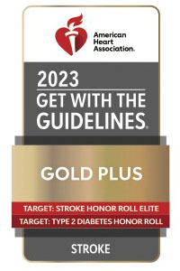 gwtg-ts-elite-tt2d-plus-2023-gold200x300-